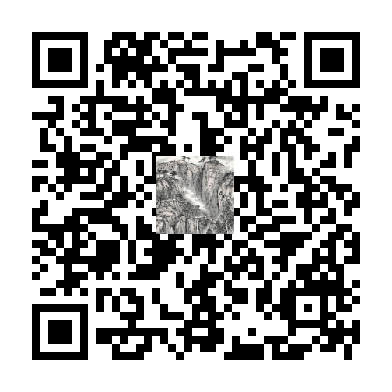待添加